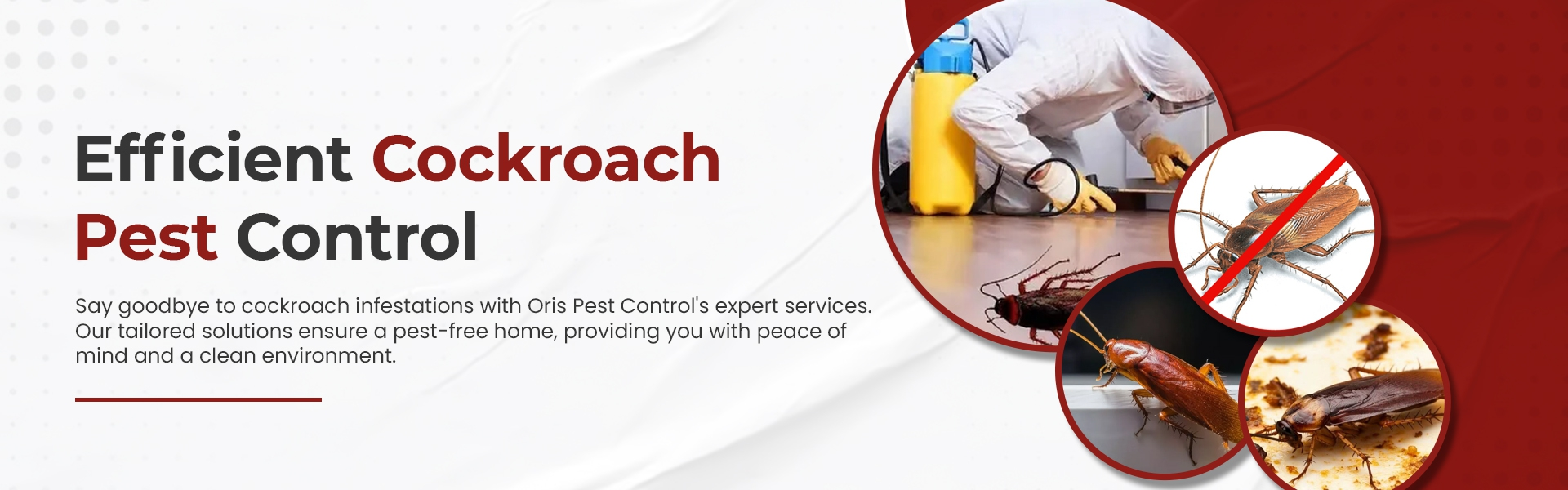 oris pest control spider and bed bug banner