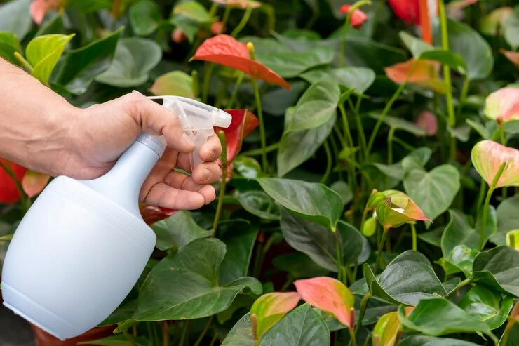 Herbal Pest Control