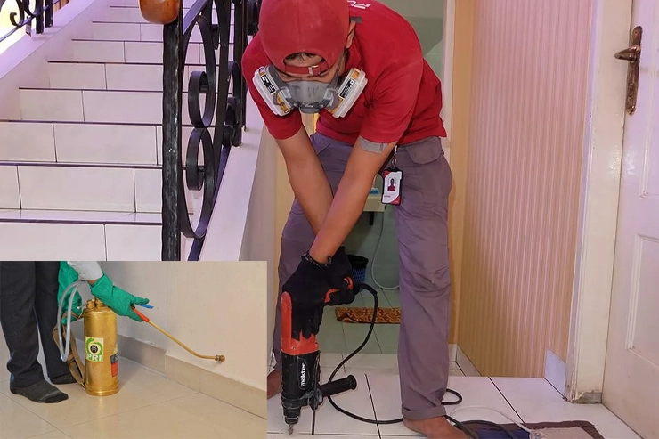 Anti termite Treatment (Post-construction)